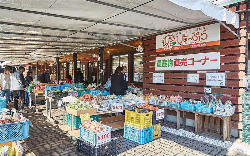 ニセコ町の魅力