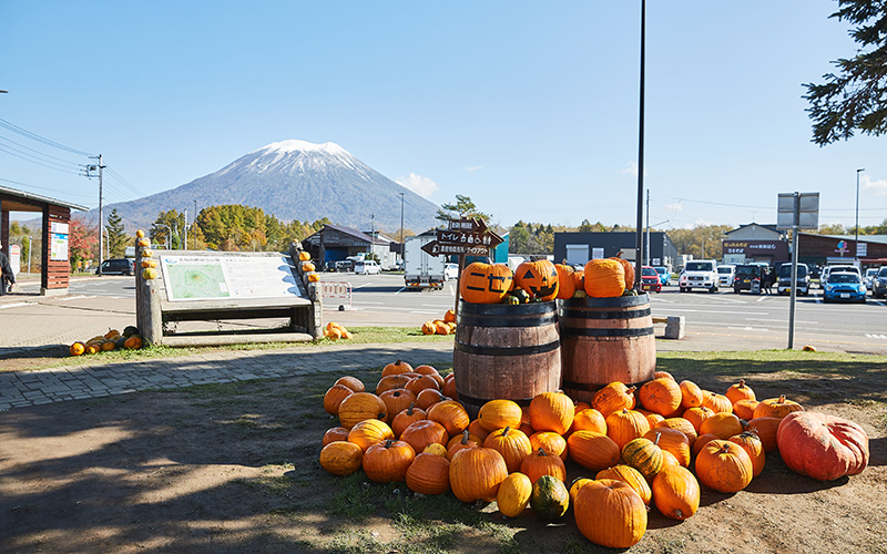 ニセコ町の魅力